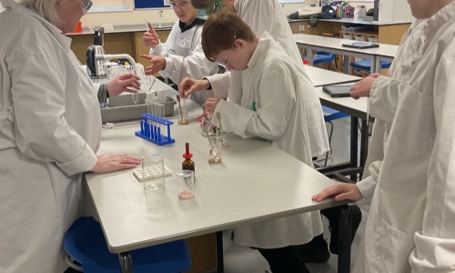 Mercury class working with the science teacher and using  test tubes