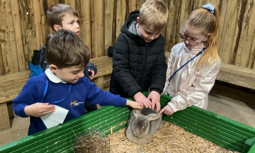 Four students from Foundation stroking a rabbit