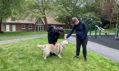 Two older boys stroking Custard the new therapy dog outside the Primary building