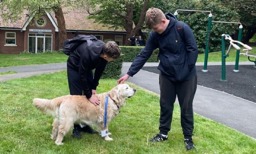 Two older boys stroking Custard the new therapy dog outside the Primary building