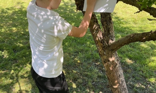 Member of Oak class taking a bark rubbing from a tree