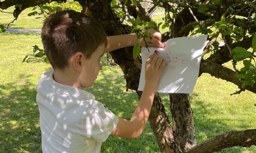 Member of Oak class taking a bark rubbing from a tree