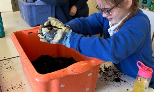 Close-up of a girl wearing gardening gloves picking up soil from a big red tub