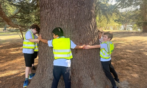 Close up of Foundation children in flourescent jackets holding hands around a very big tree at Windsor Great Park