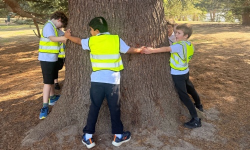 Close up of Foundation children in flourescent jackets holding hands around a very big tree at Windsor Great Park